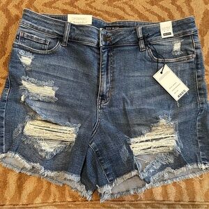 Women’s 2xl Judy Blue Jean shorts